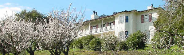 Tao House with almond tree blossoms